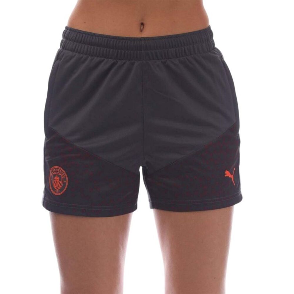 Puma Mens 2023/24 Manchester City FC Shorts / Gray